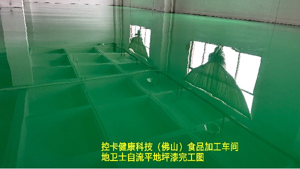 控卡健康科技（佛山）食品加工车间自流平地坪漆工程